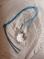 Conchiglia Scogliera