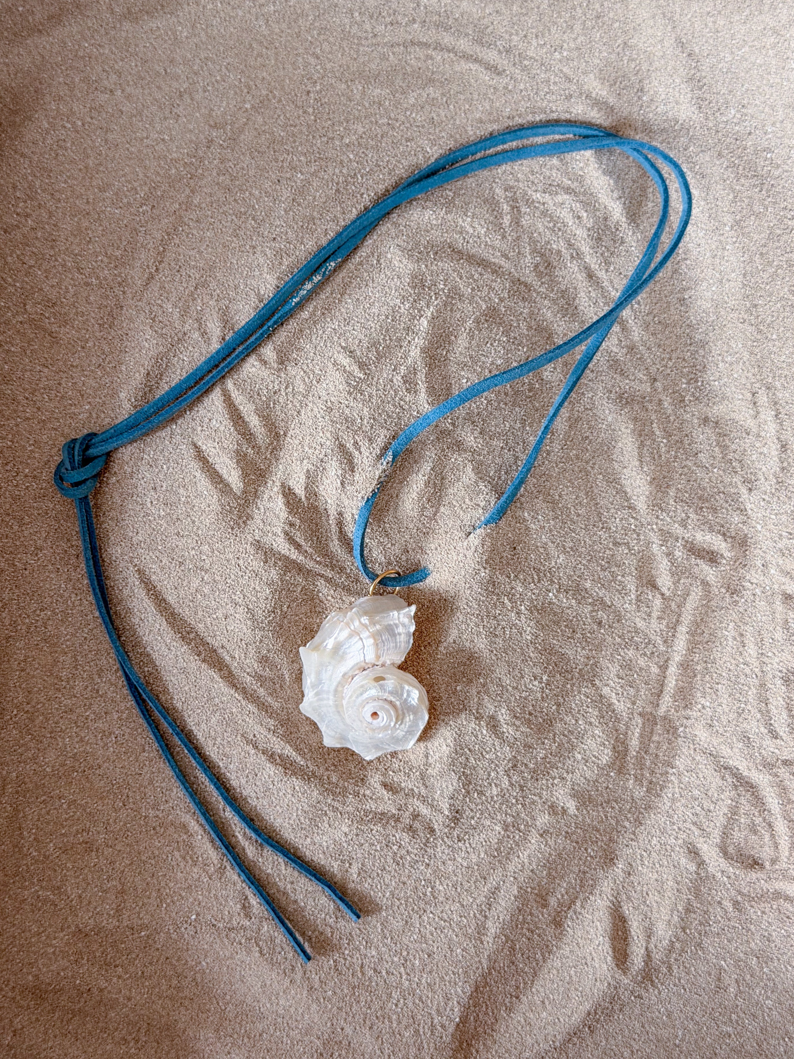 Conchiglia Scogliera