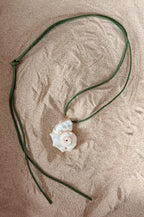 Conchiglia Scogliera